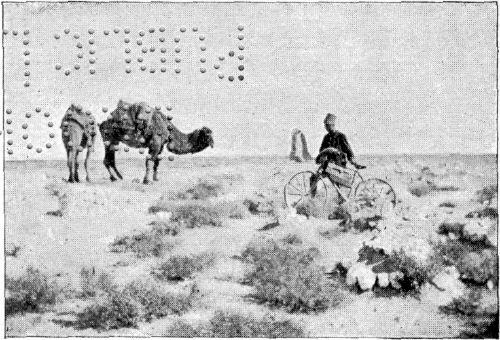 IN A PERSIAN GRAVEYARD.