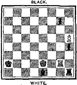 Porcelain chess pieces - Napoleon - Noblie porcelain chess sets
