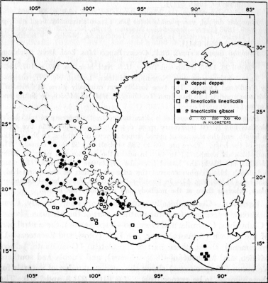 Fig. 1. México and Guatemala showing the distribution of the subspecies of Pituophis deppei and P. lineaticollis.