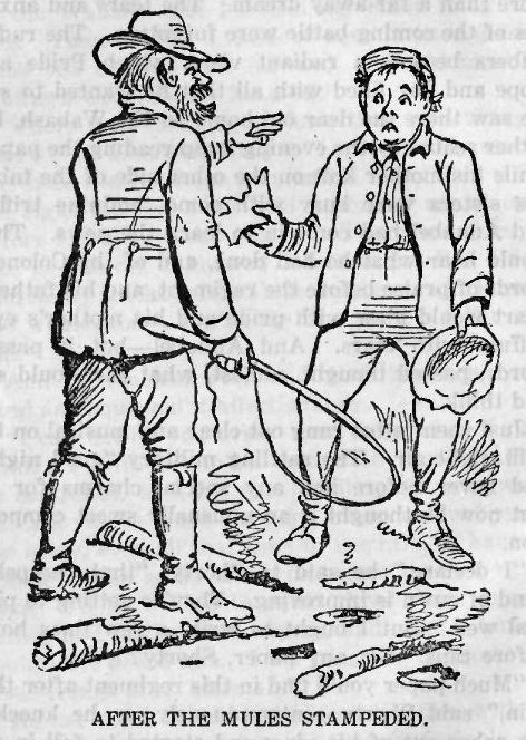 After the Mules Stampeded 44