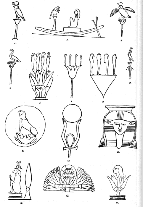 Plate VII. Illustration.