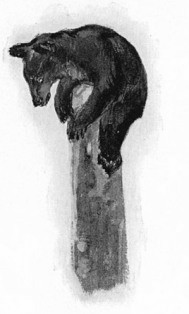 REACH THE TOP OF HIS POLE.