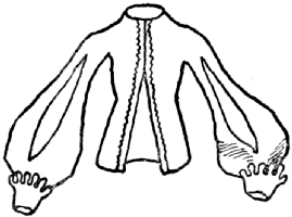 A doublet