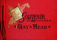 Souvenir of Gay Head: Indelible Photographs