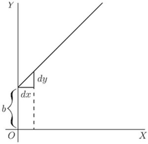 A straight line with y-intercept b shows a constant slope dy/dx everywhere. The single right triangle (dx, dy) confirms the derivative is uniform — this is the geometric picture of y = mx + b, where dy/dx = m at every point.