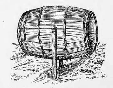 Barrel Trap for Catching Animals Alive.