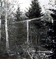 Enclosure in thick woods.