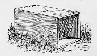 Box Trap with Swing Gate.