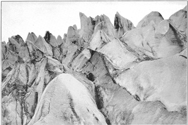 Copyright by E. A. Hegg, Juneau  Courtesy of Webster & Stevens, Seattle  Davidson Glacier