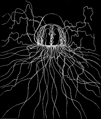 Fig. 80. Melicertum seen in profile; natural size. Fig. 80. Melicertum seen in profile; natural size.