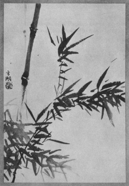 Vtg Natural Japanese Hake Brush: Japanese Sumi Painting / Watercolor - NOS  (2)