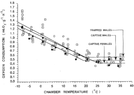 Relationship between oxygen consumption and chamber air temperature for raccoons in summer summer - oxygen consumpsion vs air temp