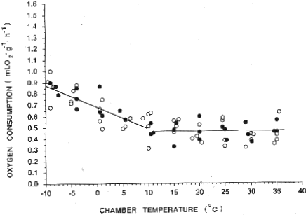 Relationship between oxygen consumption and chamber air temperature for raccoons in winter winter - oxygen consumpsion vs air temp