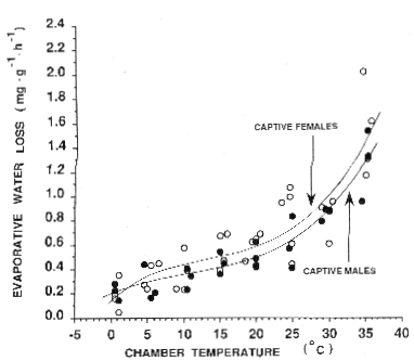 Relationship between evaporative water loss and chamber air temperature for raccoons in winter winter - evap water loss vs temp