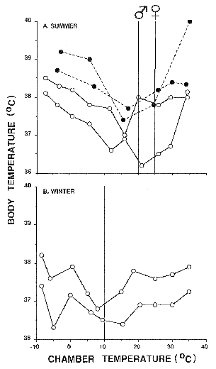 Relationship between body temperature and chamber air temperature body temp vs air temp