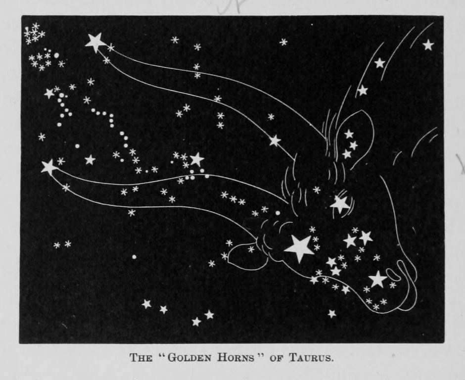 The "golden Horns" of Taurus.