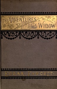 The Adventures of a Widow: A Novel