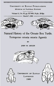 Natural History of the Ornate Box Turtle, Terrapene ornata ornata Agassiz