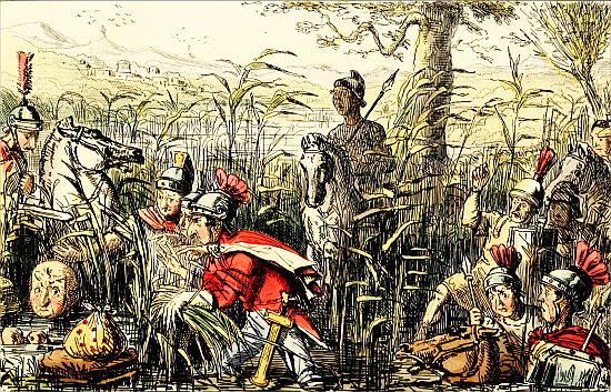 Marius discovered in the Marshes at Minturnæ.