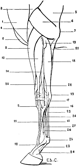 Fig. 75