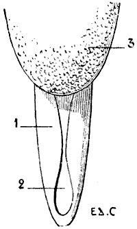 Fig. 92