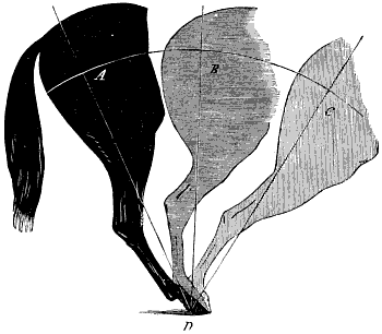 Fig. 122