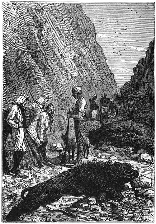 »Maar wat hebben ze een staart!” Blz. 101.