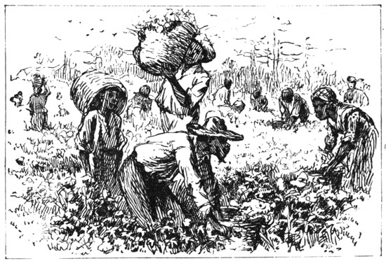 The Laborers of the South