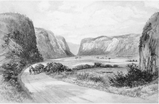 THE VINALES VALLEY  A scene in the heart of the wonderland of Pinar del Rio, which innumerable tourists have declared second to no other spot in the world in romantic beauty and fascinating charm. The combination of cliffs and plain, with the rich coloring of tropical flora, is so bewildering as to create the illusion of a stage-setting made for scenic effect by some master artist.