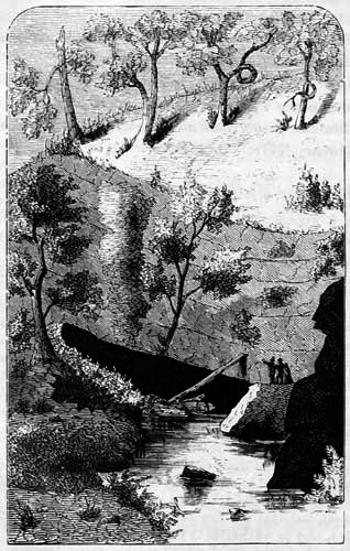 THE CAVE IN SINKING VALLEY