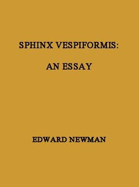 Sphinx Vespiformis: An Essay