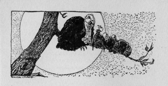 Headpiece to Mother Turkey and Her Chicks