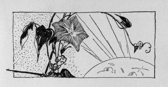 headpiece to Why the Morning-glory Sleeps