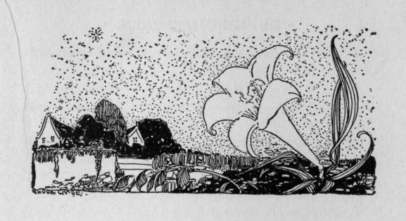 headpiece to The Star and the Lily