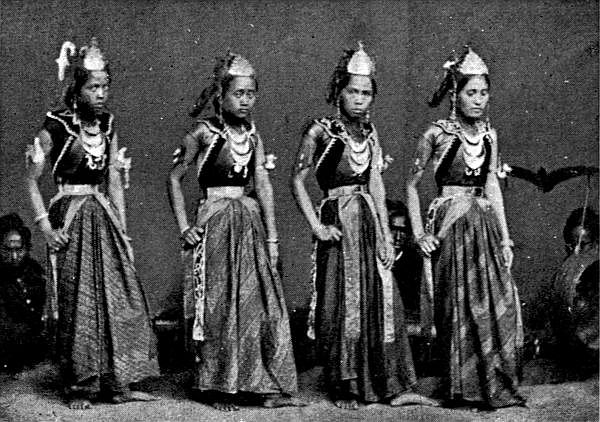 Slowly they advance gliding rather than walking.