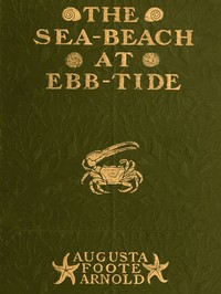 The Sea-beach at Ebb-tide
A Guide to the Study of the Seaweeds and the Lower Animal Life Found Between Tide-marks