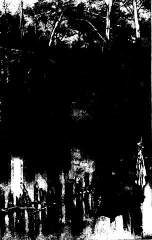 "Neuvottelulippu", huusi Silver.