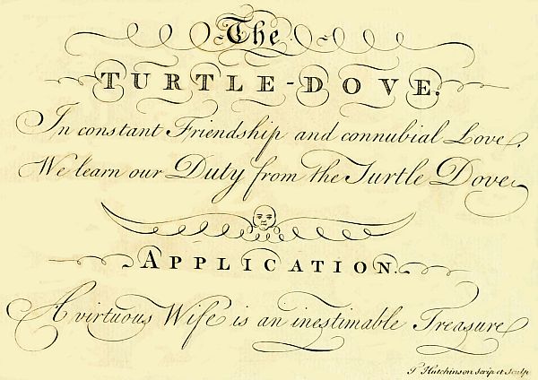 Turtledove poem and motto