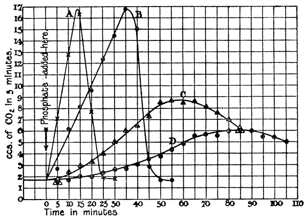 Rate of evolution vs Time at Four Phosphate Concentrations.