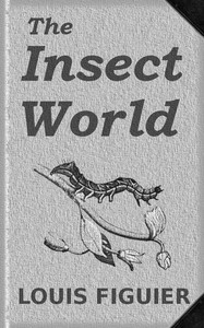 The Insect World
Being a Popular Account of the Orders of Insects; Together with a Description of the Habits and Economy of Some of the Most Interesting Species