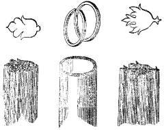 Fig. 34.—Sacabocados para coscorrones.
