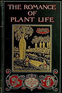 The Romance of Plant LifeInteresting Descriptions of the Strange and Curious in the Plant World