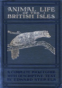 Animal Life of the British Isles
A Pocket Guide to the Mammals, Reptiles and Batrachians of Wayside and Woodland