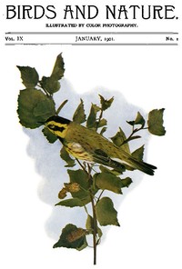 Birds and Nature Vol. 09 No. 1 [January 1901]