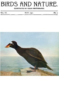 Birds and Nature Vol. 09 No. 5 [May 1901]
Illustrated by Color Photography