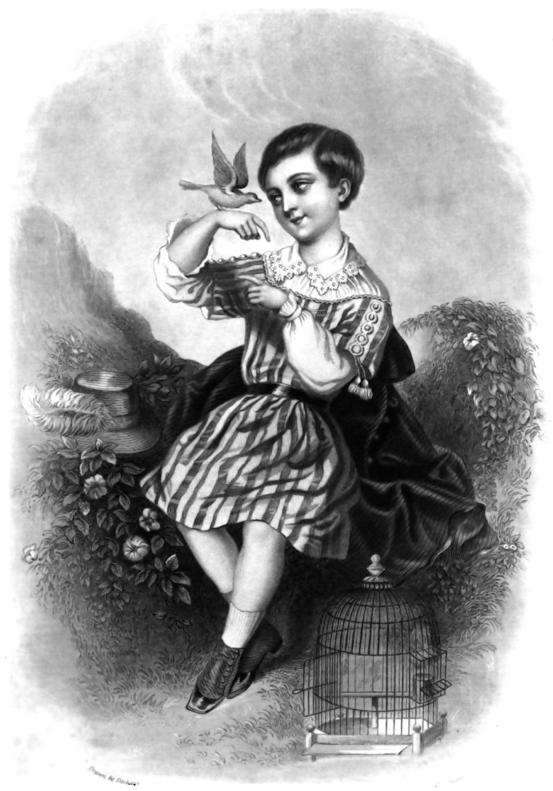 Lamia willow see reed