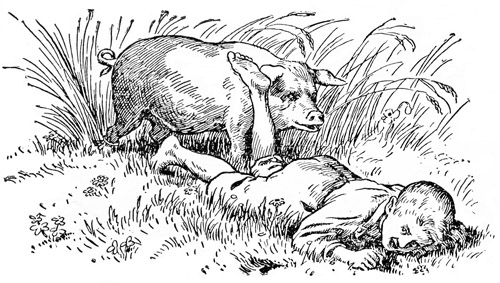 Jakob und Schwein