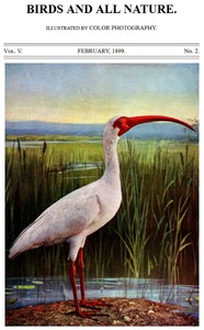 Birds and All Nature, Vol. 5, No. 2, February 1899
Illustrated by Color Photography