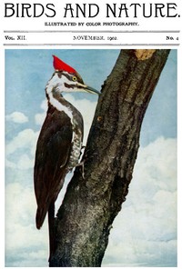 Birds and Nature, Vol. 12 No. 4 [September 1902]Illustrated by Color Photography