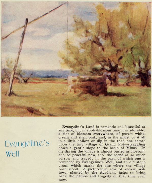 evangeline's well